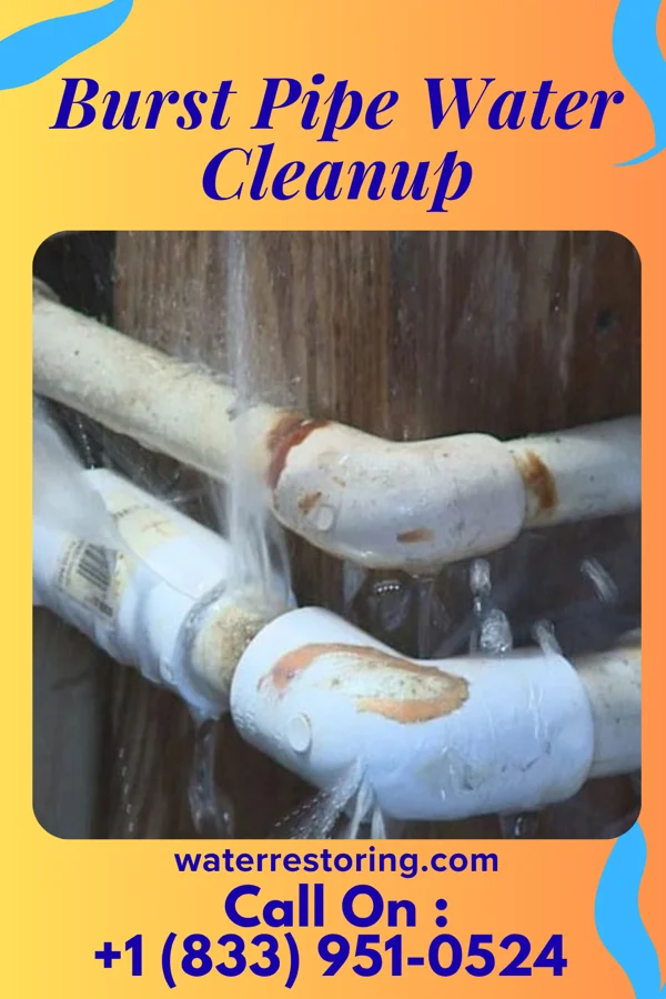 Burst Pipe Water Cleanup in Roachdale, IN