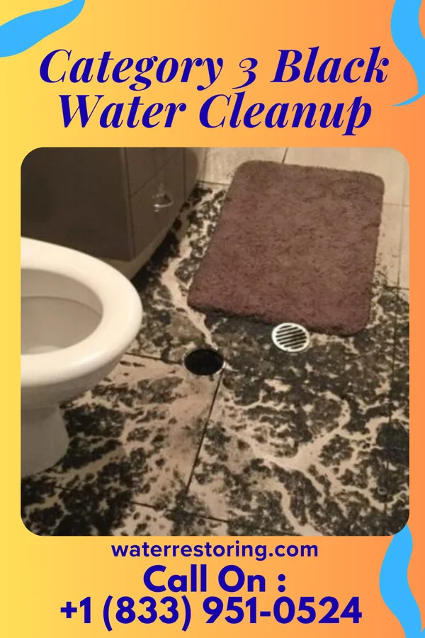 Category 3 Black Water Cleanup in Roachdale, IN