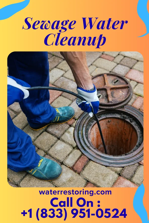 Sewage Water Cleanup in Roachdale, IN